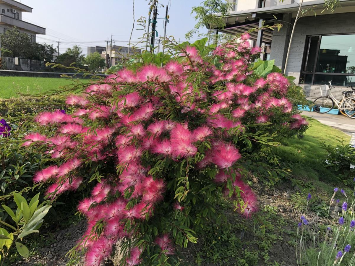 Early Summer Luodong Exterior photo